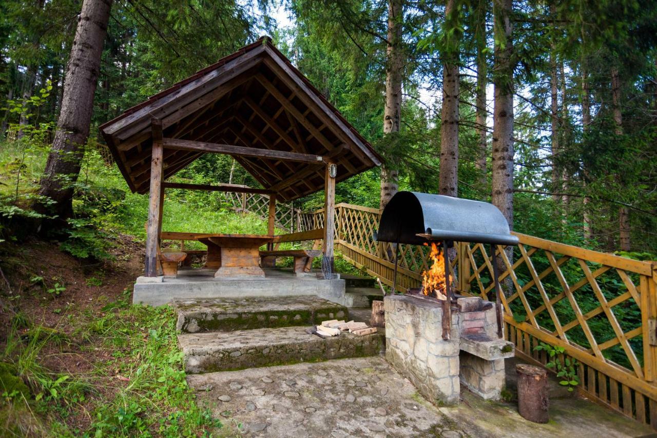 Hotel Альпина Jaremtsche Exterior foto